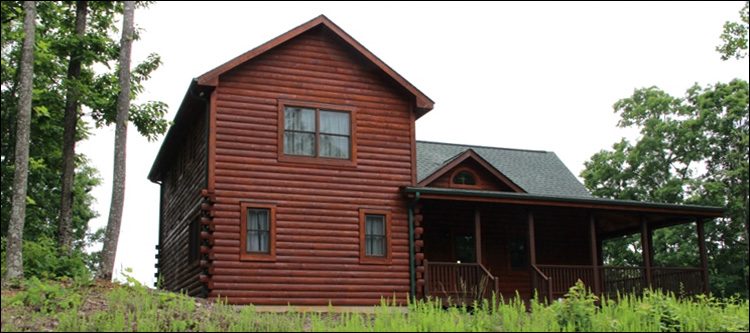 Professional Log Home Borate Application  Dillon County,  South Carolina